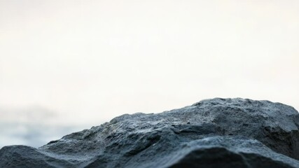 Poster - A small bird is sitting on the top of a rock, looking around