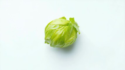Poster - A single green leaf on a white background, ideal for use in designs and graphics where natural elements are needed
