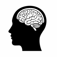 Poster - Understanding the Human Brain Anatomy, Function, and Cognitive Processes