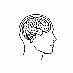 Poster - Human Brain Anatomy Illustration Detailed Line Drawing of the Cerebral Cortex, Cerebellum, and Brainstem