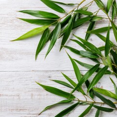 Poster - Fresh green bamboo leaves on a white wooden table, creating a sense of peace and tranquility. The leaves are full of life and vibrant colors