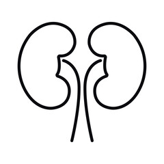 Human kidney line vector icon