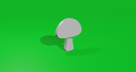 Poster - Isolated realistic white mushroom symbol front view with shadow. 3d illustration on green chroma key background