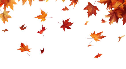 Wall Mural - png autumn background with falling leaves leaf autumn nature.