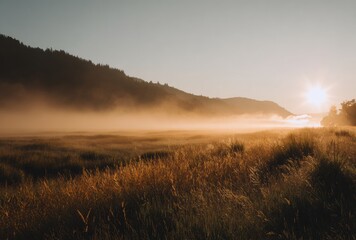 Wall Mural - morning mist in the field