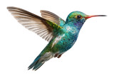 PNG Blue green hummingbird flying photography colorful wildlife.