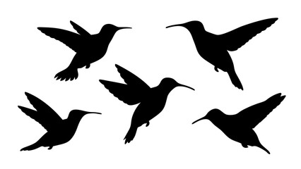  humming bird silhouette vector illustration on tranparent background