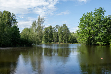 Aufkleber - Calm Lake Surrounded by Lush Greenery During a Sunny Day in a Serene Park