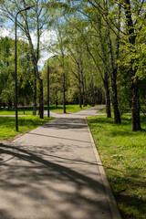Poster - Pathway Lined With Trees in a Tranquil Park Setting During a Sunny Day in Spring Showcasing Lush Greenery and Bright Blue Skies