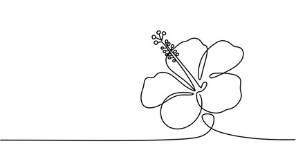 Poster - Elegant single line drawing of a hibiscus flower with delicate details on a white background
