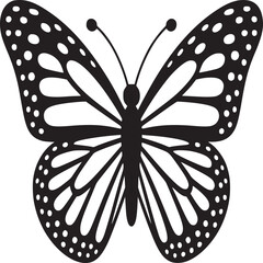 Poster - Butterfly vector illustration black and white clip art insect design silhouette graphic drawing isolated on white