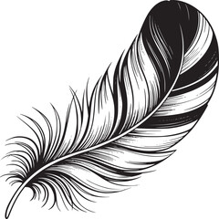 Poster - Detailed feather drawing black and white illustration for tattoo design and graphic design element vector art silhouette