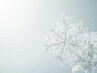 Wall Mural - Snowflake is shown in the center of a white background. The snowflake is surrounded by a few other snowflakes, and the entire image has a serene and peaceful feel to it