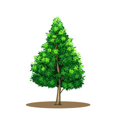 green tree isolated on white