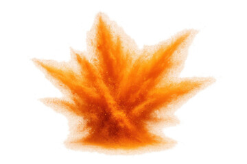 Leinwandbilder - Vivid orange powder bursting, generating dynamic swirling pattern against transparent backdrop, revealing intense colorful movement