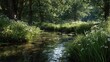 © Alex - White wildflowers grow on the bank of a peaceful woodland brook with sunlit water.