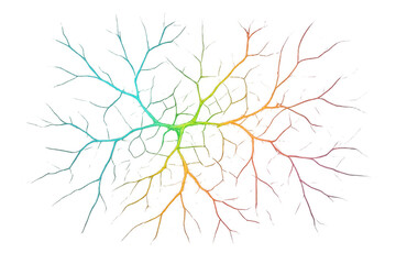 Poster - Neuron cells spreading connection with colorful axons and dendrites on a transparent background