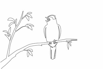 Poster - Continuous one line drawing blackcap bird perched on tree branch with leaves. Cold weather resistant birds. The songbird. International Dawn Chorus Day. Single line draw design vector illustration