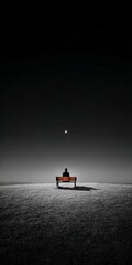 Wall Mural - Solitary Figure on a Bench at Night Under a Moonlit Sky Black and White Landscape Photography