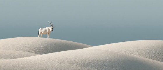 Poster - Endangered Arabian oryx standing atop smooth desert dunes with minimalist landscape, symbolizing wildlife resilience and conservation urgency in sustainable campaigns