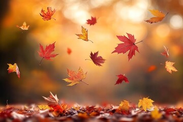 Wall Mural - autumn background with falling leaves autumn leaf foliage.