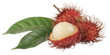 Rambutan Fruit with Leaves, Isolated on Transparent Background, Nephelium lappaceum, Tropical Fruit, Rambutan, Fruit, Food
