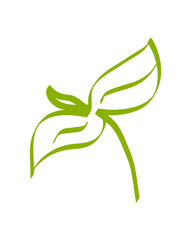 Poster - Green Tea Leaf Line Drawing Vector Design Element