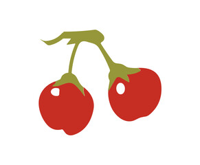 Poster - Two Red Berries with Green Stems Vector Design