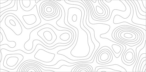 Poster - Abstract background with topographic map white background. The stylized height of the topographic map contour in black lines. gradient multicolor wave curve lines banner background design.