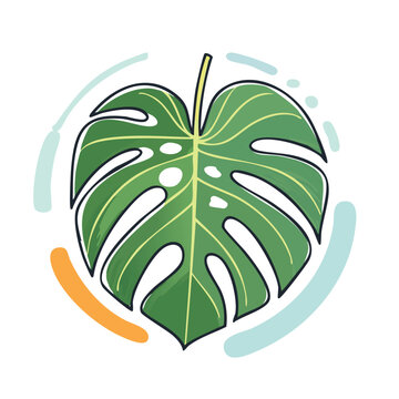 Modern Vector Illustration of Monstera with Bold Black Outlines and Flat Colors Graphic Style