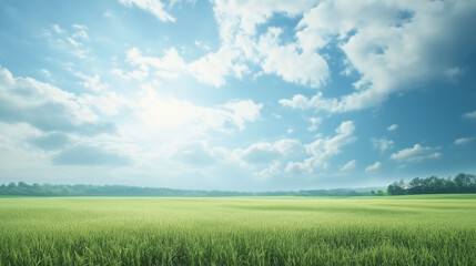 Wall Mural - green field and blue sky. field and clouds