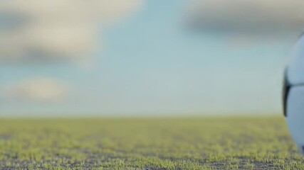 Poster - A soccer ball sits atop a well-manicured grassy field, perfect for a sports-themed image or outdoor setting
