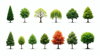 Poster - various species of green trees in the park during daytime