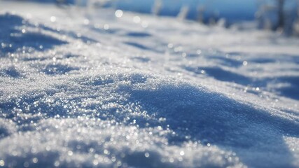 Poster - Close-up of sparkling snow on a sunny winter day, camera panning smoothly to the right. Perfect for Christmas and New Year projects.