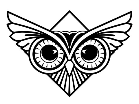 Vibrant Owl Face Icon Large Symmetrical Eyes Minimal Vec Scalable Graphic