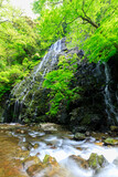 初夏の龍双ヶ滝　福井県今立郡　Ryusogataki Falls in early summer. Fukui Pref, Imadate County.