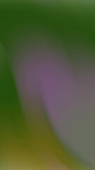 Poster - Abstract blurred colorful nature scene with green purple and yellow hues for backgrounds or artistic projects