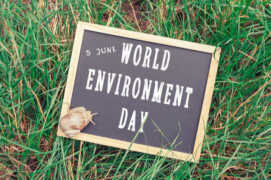 Chalkboard with the words World Environment Day written on it