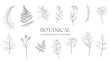 © Vectyx - Hand drawn botanical illustration collection of flowers leaves and herbs in elegant black and white line art style perfect for nature designs wedding invitations prints logos and minimalist decor