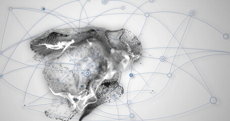 Poster - Image of abstract network connections over grayscale illustration of animal