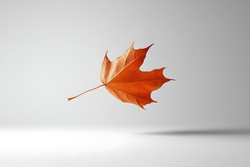 Poster - Autumn maple leaf floating in the air, studio shot. Seasonal fall foliage, nature concept