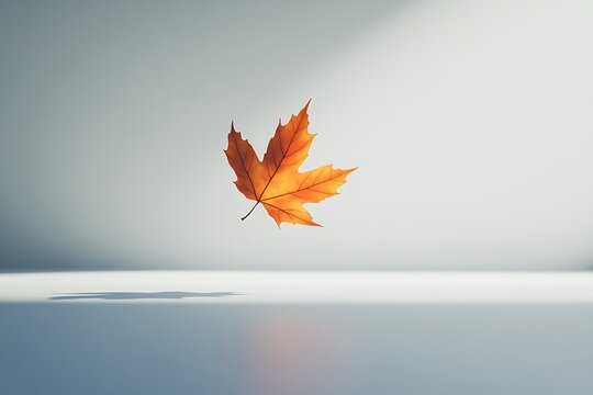 Floating Maple Leaf Against a Minimalist Backdrop for Autumnal Elegance and Simplicity