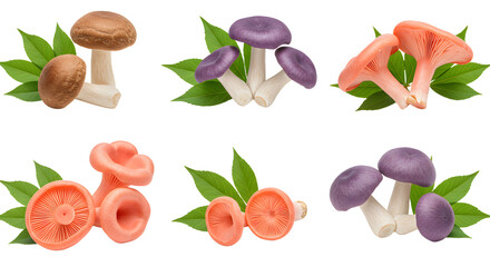 A vibrant display of assorted mushrooms with colorful caps and fresh green leaves, ideal for culinary and botanical use
