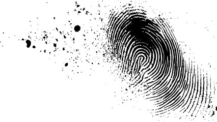 Wall Mural - vector white and black fingerprint texture. black fingerprint on white transparent background.