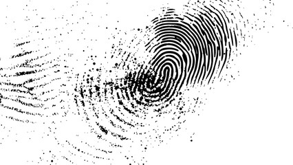 Wall Mural - vector white and black fingerprint texture. black fingerprint on white transparent background.