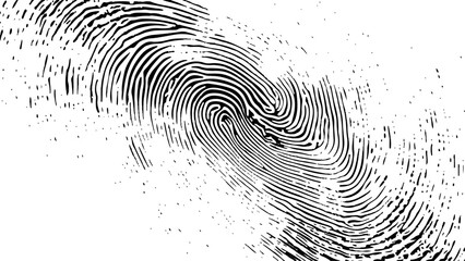 Wall Mural - vector white and black fingerprint texture. black fingerprint on white transparent background.