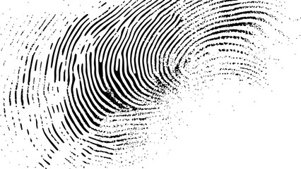 Wall Mural - vector white and black fingerprint texture. black fingerprint on white transparent background.