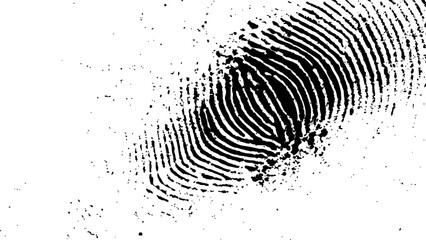 Wall Mural - vector white and black fingerprint texture. black fingerprint on white transparent background.