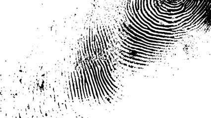 Wall Mural - vector white and black fingerprint texture. black fingerprint on white transparent background.