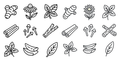 Poster - Collection of herbs and spices are shown in a black and white drawing. The herbs include parsley, basil, and mint, while the spices include cinnamon, nutmeg, and ginger